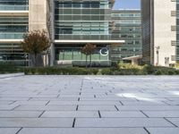 a walkway with tiles and green plants outside of a building near trees and shrubs in front of them