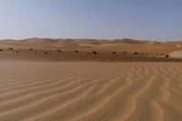 some brown desert grass and some dirt hills and bushes near one another on a clear day