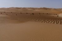 some brown desert grass and some dirt hills and bushes near one another on a clear day