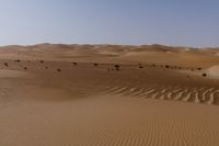 some brown desert grass and some dirt hills and bushes near one another on a clear day