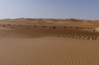 some brown desert grass and some dirt hills and bushes near one another on a clear day