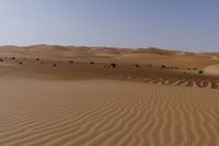 some brown desert grass and some dirt hills and bushes near one another on a clear day