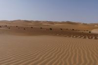 some brown desert grass and some dirt hills and bushes near one another on a clear day