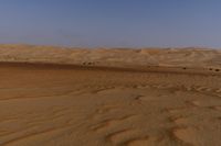 a lone tree in the middle of the desert against the background of large sand dunes with dirt