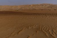 a lone tree in the middle of the desert against the background of large sand dunes with dirt