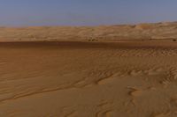 a lone tree in the middle of the desert against the background of large sand dunes with dirt