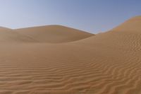 sand dunes covered in small waves and sand in the desert area of the sahara plain