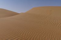 sand dunes covered in small waves and sand in the desert area of the sahara plain