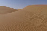 sand dunes covered in small waves and sand in the desert area of the sahara plain