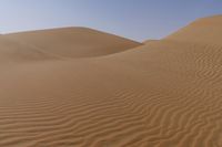 sand dunes covered in small waves and sand in the desert area of the sahara plain