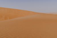 sand dune mounds rise in the background of a desert scene as two people walk down the side