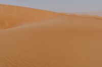 sand dune mounds rise in the background of a desert scene as two people walk down the side