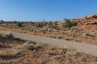 the open road runs near a hill and grass on both sides of it and trees and shrubs along either side