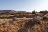 a dirt road leading through a desert with mountains in the distance and shrubs on the ground