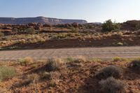 a dirt road leading through a desert with mountains in the distance and shrubs on the ground