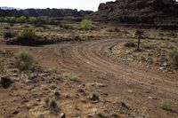 Lockhart Road in Canyonlands, Utah - Clear Sky Landscape with Vegetation and Red Rock Bedrock