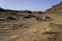 a dirt road leading through an arid landscape of rocks and vegetation near a canyon in the distance