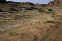 a dirt road leading through an arid landscape of rocks and vegetation near a canyon in the distance