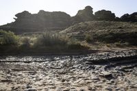 the sandy landscape has some rocks and grass on it and is very bright blue in the morning