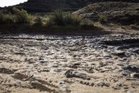 the sandy landscape has some rocks and grass on it and is very bright blue in the morning