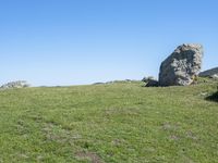 a lone cow standing in a field of grass under a big rock like object in the background