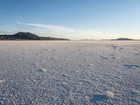 a lone desert area in a deserted area with the sky and mountains behind it with footprints in the sand