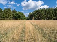 a large field with a lone giraffe in it with trees around it and grass on the bottom