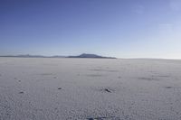 a lone horse and its tracks in the open field while in the desert near an island