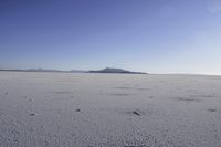 a lone horse and its tracks in the open field while in the desert near an island