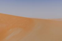 a desert with a lone horse and some sand dunes and blue sky in the background