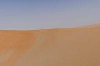 a desert with a lone horse and some sand dunes and blue sky in the background