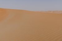 a desert with a lone horse and some sand dunes and blue sky in the background