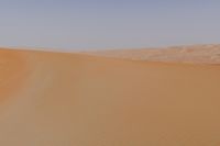 a desert with a lone horse and some sand dunes and blue sky in the background