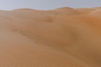 a desert with a lone horse and some sand dunes and blue sky in the background