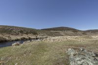 a lone stream running through a hillside covered in grass and dry brown grass with a blue sky in the background