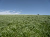 a lone tractor sits in the middle of a vast green field with sky and grass