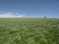 a lone tractor sits in the middle of a vast green field with sky and grass