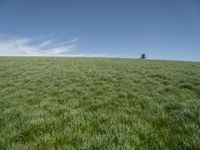 a lone tractor sits in the middle of a vast green field with sky and grass