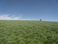 a lone tractor sits in the middle of a vast green field with sky and grass