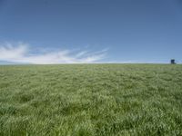 a lone tractor sits in the middle of a vast green field with sky and grass