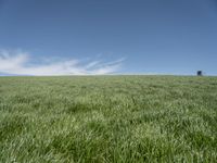 a lone tractor sits in the middle of a vast green field with sky and grass