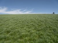 a lone tractor sits in the middle of a vast green field with sky and grass