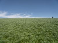 a lone tractor sits in the middle of a vast green field with sky and grass