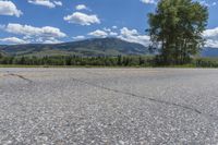 a tree stands alone in a open empty lot near a mountain range near evergreen, oregon