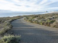 an empty, lonely road along the coast on a sunny day by the beach with waves in the ocean behind it