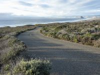 an empty, lonely road along the coast on a sunny day by the beach with waves in the ocean behind it