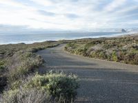 an empty, lonely road along the coast on a sunny day by the beach with waves in the ocean behind it