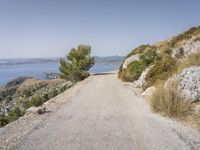 a lonely road in the mountains leading to sea and rocks with a tree beside it