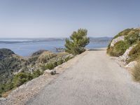 a lonely road in the mountains leading to sea and rocks with a tree beside it