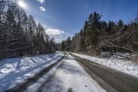 a lonely road that is surrounded by tall trees and snow covered branches along the sides